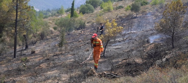 Χάρη στην άμεση επέμβαση της Πυροσβεστικής Υπηρεσίας, της Ελληνικής Αστυνομίας, των Εθελοντικών Ομάδων και των τμημάτων Πολιτικής Προστασίας των Δήμων η πυρκαγιά τέθηκε γρήγορα υπό έλεγχο.