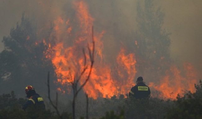 Η φωτιά έφτασε στον  Άγιο Στέφανο, Σταμάτα και Κρυονέρι