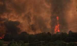 Η φωτιά έφτασε στον  Άγιο Στέφανο, Σταμάτα και Κρυονέρι