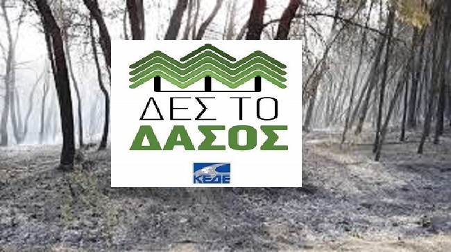 ΚΕΔΕ : Έκτακτο ΔΣ – Παρουσίαση του προγράμματος «Δες το Δάσος» και τις ενέργειες στήριξης των πυρόπληκτων Δήμων της Ελλάδας