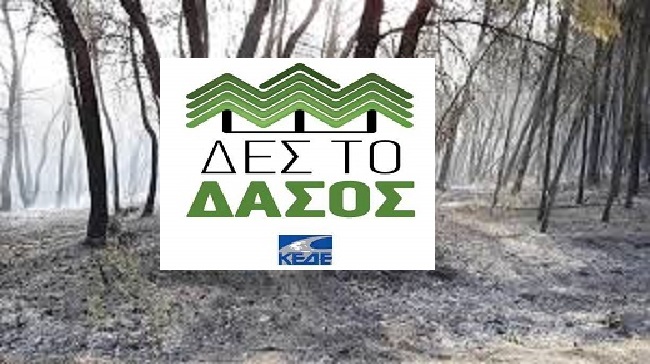 Ειδικό πρόγραμμα «Δες το Δάσος»