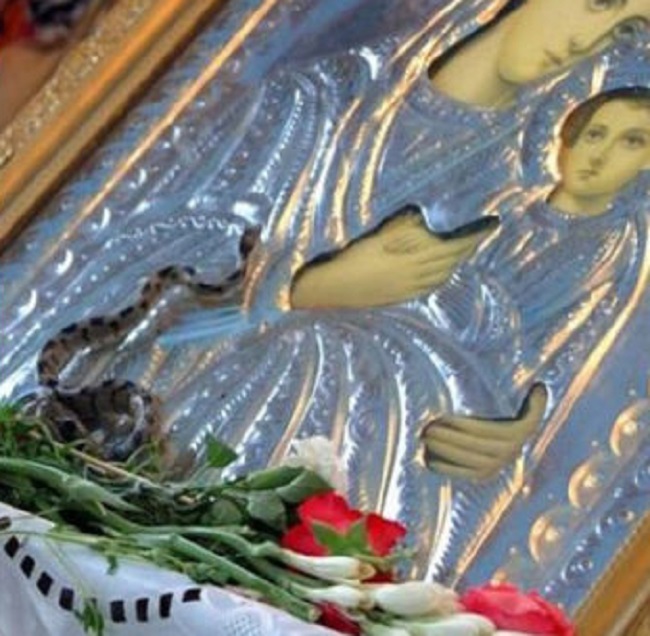 Κεφαλονιά: Τα θαυματουργά φιδάκια της Παναγιάς εμφανιστήκαν και φέτος λίγο πριν τη μεγάλη γιορτή της Παναγιάς του Δεκαπενταύγουστου