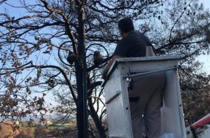 Κηφισιά: Εργασίες αποκατάστασης του δημοτικού φωτισμού στα καμένα  της οδού Ποταμού στην περιοχή των Αδαμών