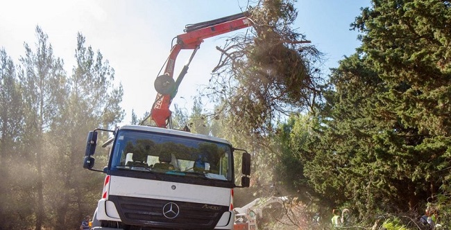 Κηφισιά: Εκτεταμένη καθαρισμοί σε πάνω από 700 στρέμματα δασικής έκτασης από συνεργεία του Δήμου και εργολάβους