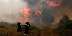 Η φωτιά επεκτείνετε  προς την περιοχή του Ωρωπού