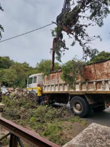 Πεντέλη: Στην οδό Αλεξάνδρου Παναγούλη στη Νέα Πεντέλη έπεσε ένα δέντρο και έκλεισε το οδόστρωμα