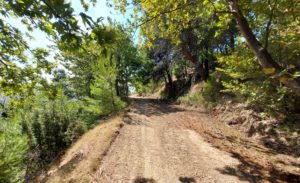 ΣΠΑΠ : Εργασίες συντήρησης και αποκατάστασης  δασικών δρόμων στο Πεντελικό