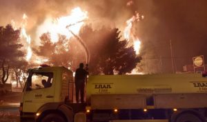 ΣΠΑΠ: Ολονύχτια μάχη στα μέτωπα της πυρκαγιάς σε Δροσοπηγή, Κρυονέρι και  Αφίδνες