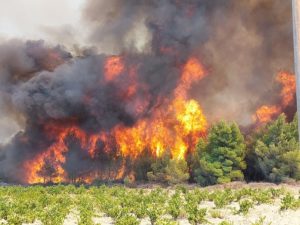 ΣΠΑΠ: Κλιμάκιο με εργαζόμενους και εθελοντές έδωσαν μάχη στη φωτιά που ξέσπασε στην Κερατέα Αττικής