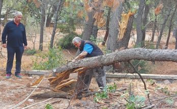 Ο ΣΠΑΠ και ομάδα εθελοντών και εργαζομένων συνέδραμε τον Δ. Πεντέλης στον καθαρισμό και την απομάκρυνση πεσμένων δένδρων και κλαδιών από τον χώρο του ΝΙΕΝ