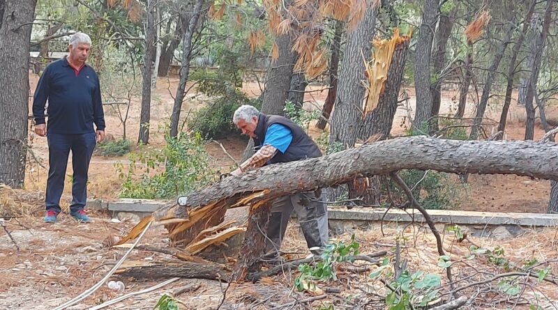 Ο ΣΠΑΠ και ομάδα εθελοντών και εργαζομένων συνέδραμε τον Δ. Πεντέλης στον καθαρισμό και την απομάκρυνση πεσμένων δένδρων και κλαδιών από τον χώρο του ΝΙΕΝ