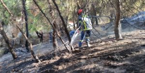 Βύρωνας: Πυρκαγιά χθες το πρωί 4/9 πίσω από το δημοτικό στάδιο, κοντά στο θέατρο Βράχων