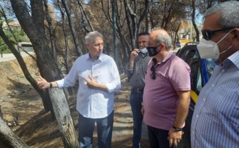 Διόνυσος: Καθαρισμοί Ρεμάτων στο Δήμο Διονύσου
