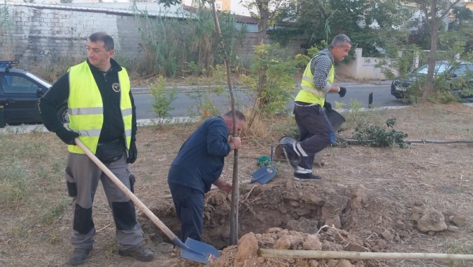 Μαρούσι:  Εργασίες καθαριότητας, φυτεύσεων, συντήρησης πρασίνου και τεχνικές επισκευές σε διάφορες περιοχές του Αμαρουσίου