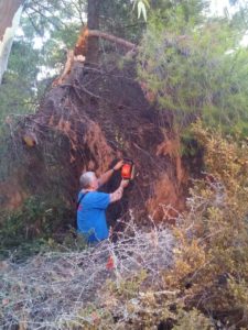 Ο ΣΠΑΠ και ομάδα εθελοντών και εργαζομένων συνέδραμε τον Δ. Πεντέλης στον καθαρισμό και την απομάκρυνση πεσμένων δένδρων και κλαδιών από τον χώρο του ΝΙΕΝ