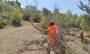 ΣΠΑΥ : Νέα σημαντική παρέμβαση του ΣΠΑΥ στα σημεία επαφής του βουνού με τον αστικό ιστό στην περιοχή της Ηλιούπολης