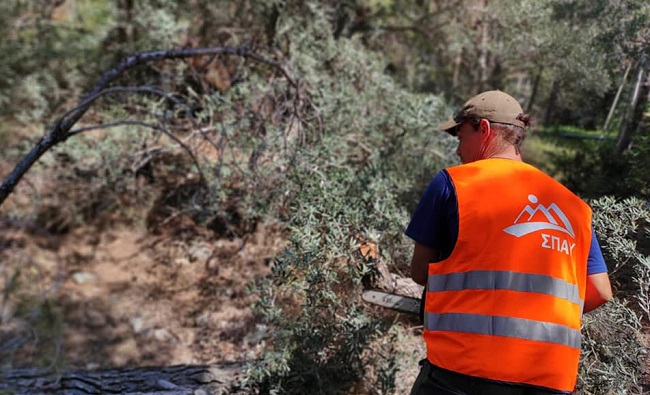 ΣΠΑΥ : Νέα σημαντική παρέμβαση του ΣΠΑΥ στα σημεία επαφής του βουνού με τον αστικό ιστό στην περιοχή της Ηλιούπολης