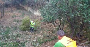 Μαρούσι: Εργασίες καθαριότητας,φυτεύσεων, συντήρησης πρασίνου και απολυμάνσεων