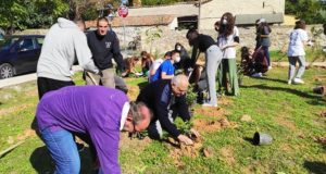 Παλλήνη: «Γιορτή για το περιβάλλον» Φύτεψαν 660 δεντράκια στον κοινόχρηστο χώρο παραπλεύρως του2ου Γυμνασίου – Λυκείου