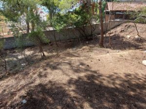 ΣΠΑΠ: Καθαρίστηκε το πάρκο στη συμβολή των οδών Κωλέττη και Γλάδστωνος από την ομάδα εθελοντών και εργαζομένων του συνδέσμου