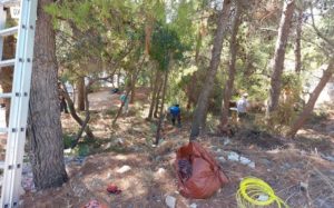 ΣΠΑΠ: Καθαρίστηκε το πάρκο στη συμβολή των οδών Κωλέττη και Γλάδστωνος από την ομάδα εθελοντών και εργαζομένων του συνδέσμου