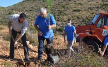 Δράση Αναδάσωσης διοργανώνει ο ΣΠΑΠ