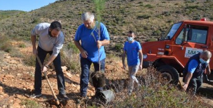 Δράση Αναδάσωσης διοργανώνει ο ΣΠΑΠ