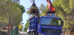 ΣΠΑΥ : Ενόψει των βροχοπτώσεων ο Σύνδεσμος απομάκρυνε ποσότητες κλαδιών στα σημεία επαφής του βουνού με τον αστικό ιστό σε Ηλιούπολη και Βύρωνα