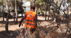 ΣΠΑΥ : Ενόψει των βροχοπτώσεων ο Σύνδεσμος απομάκρυνε ποσότητες κλαδιών στα σημεία επαφής του βουνού με τον αστικό ιστό σε Ηλιούπολη και Βύρωνα