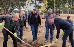 Διόνυσος: Δενδροφύτευση στο Κρυονέρι το Σάββατο 30/10