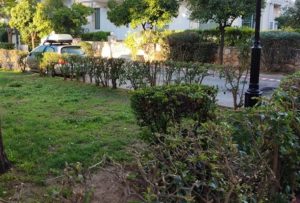 Μαρούσι:  Η καθαριότητα της πόλης, η δημόσια υγεία και η ποιότητα ζωής, πρώτιστες προτεραιότητες του Δημάρχου Αμαρουσίου