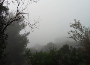 Πεντέλη: Πυκνή ομίχλη σκέπασε την πόλη από τα μεσάνυχτα ως τις πρώτες πρωινές ώρες (Φωτογραφίες)