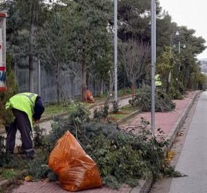 Παπάγου Χολαργός: Παρεμβάσεις της Υπηρεσίας Πρασίνου σε διάφορα σημεία της πόλης