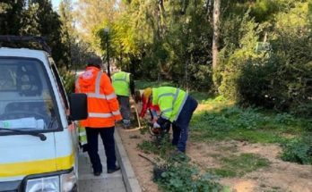 Παπάγου Χολαργός: Παρεμβάσεις της Υπηρεσίας Πρασίνου σε διάφορα σημεία της πόλης