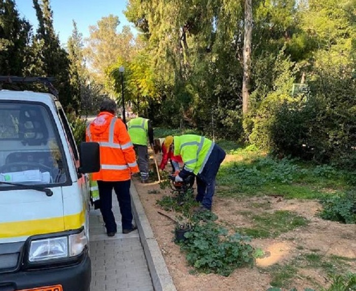 Παπάγου Χολαργός: Παρεμβάσεις της Υπηρεσίας Πρασίνου σε διάφορα σημεία της πόλης