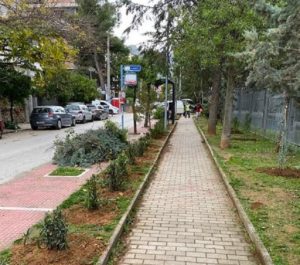 Παπάγου Χολαργός: Παρεμβάσεις της Υπηρεσίας Πρασίνου σε διάφορα σημεία της πόλης