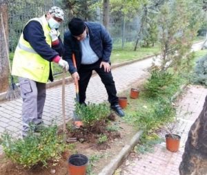 Παπάγου Χολαργός: Παρεμβάσεις της Υπηρεσίας Πρασίνου σε διάφορα σημεία της πόλης