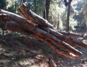 Περιφέρεια Αττικής : Με εντατικούς ρυθμούς συνεχίζονται οι εργασίες καθαρισμού ρεμάτων από τα συνεργεία της Περιφέρειας