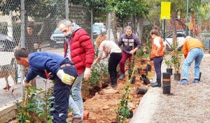Χαλάνδρι: Όαση πρασίνου το πάρκο στο Συνοικισμό Χαλανδρίου
