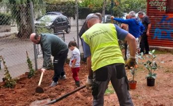 Χαλάνδρι: Όαση πρασίνου το πάρκο στο Συνοικισμό Χαλανδρίου