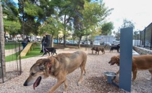 Αθήνα : Δύο dog parks στον Προμπονά και στο Νέο Κόσμο είναι έτοιμα να υποδεχτούν, με ασφάλεια, τους τετράποδους Αθηναίους