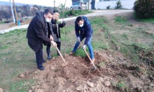 Κηφισιά: Δεντεροφύτευση στην πυρόπληκτη περιοχή των Αδάμων