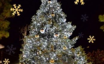 Νέα Ιωνία : Την Πέμπτη 16 Δεκεμβρίου η φωταγώγηση του Χριστουγεννιάτικου Δέντρου