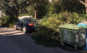 Πεντέλη: Συνεργεία του ΔΕΔΔΗΕ μετά από υπόδειξη του Δήμου κλαδεύουν δένδρα που ακουμπούν σε καλώδια ηλεκτροδότησης μέσης τάσης