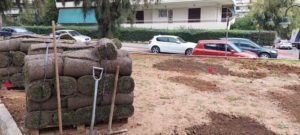 Λυκόβρυση Πεύκη: Συνεχίζονται οι αισθητικές  παρεμβάσεις  με φυτεύσεις δέντρων, φυτών σε όλο το Δήμο