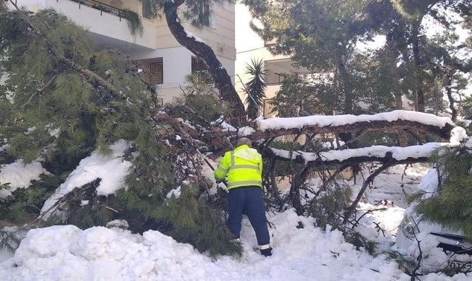 Βριλήσσια: Αποζημιώσεις από τον Δήμο σε κατοίκους που υπέστησαν ζημιές από πτώση δέντρου