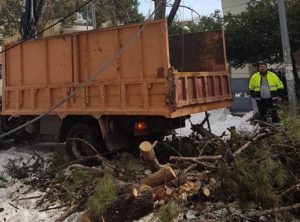 Βριλήσσια: Αποζημιώσεις από τον Δήμο σε κατοίκους που υπέστησαν ζημιές από πτώση δέντρου