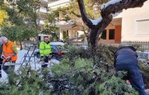 Βριλήσσια: Αποζημιώσεις από τον Δήμο σε κατοίκους που υπέστησαν ζημιές από πτώση δέντρου