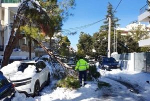 Βριλήσσια: Αποζημιώσεις από τον Δήμο σε κατοίκους που υπέστησαν ζημιές από πτώση δέντρου