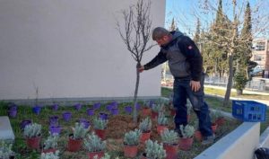 Λυκόβρυση Πεύκη:  Συνεχίζονται οι παρεμβάσεις των συνεργείων του Δήμου